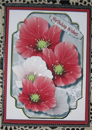 Beautiful Poppies on a Silver Mat by Wendy De Winter