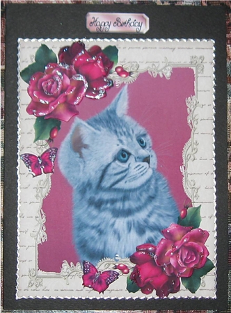Gorgeous Grey Cat with Hot Pink Roses by Wendy De Winter