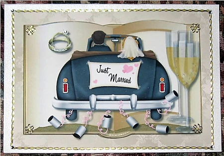 Wedding Book Just Married by Wendy De Winter