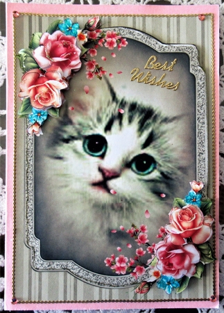 Cat and Roses by Wendy De Winter