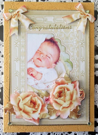 Vintage New baby  Girl Roses by Wendy De Winter