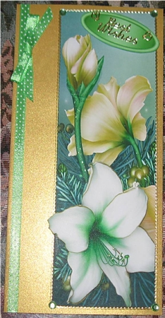 Pretty gold and white poinsettias tall DL by Wendy De Winter
