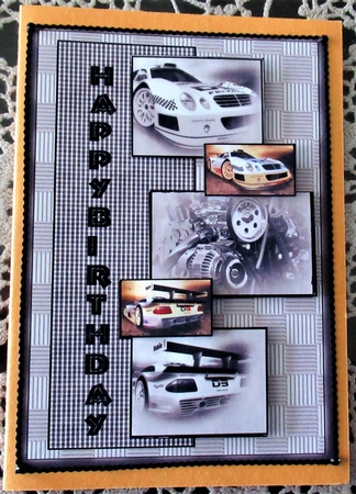 Car Snips by Wendy De Winter
