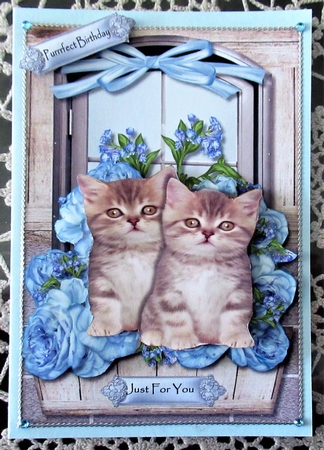 Cute Kittens in Window by Wendy De Winter
