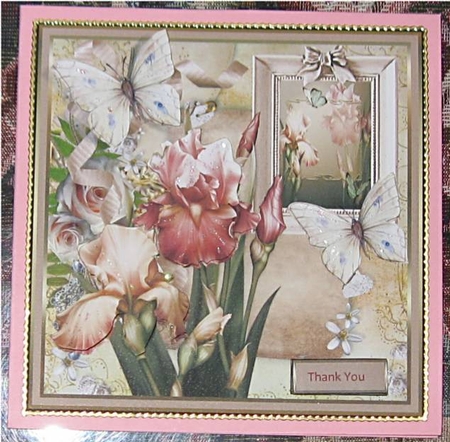 Peach Iris by Wendy De Winter