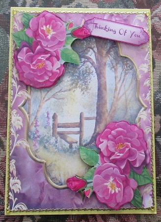Beautiful Roses at the fporest Stile  by Wendy De Winter