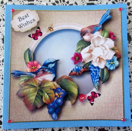 The Fairy Wren Family by Wendy De Winter