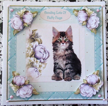 Fluffy Cat Card Front by Wendy De Winter