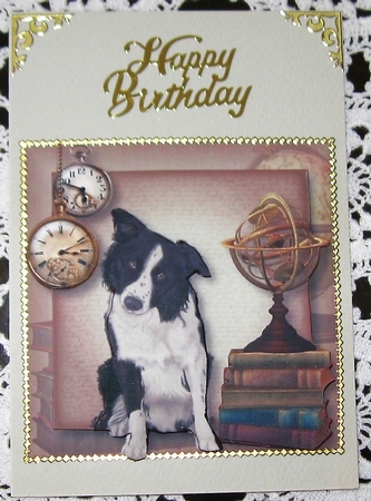Male Themed Dogs - Border Collie 8x8 by Wendy De Winter