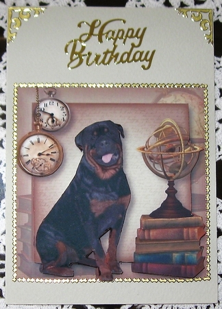 Male Themed Dogs - Rottweiller 8x8 by Wendy De Winter