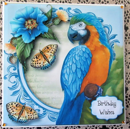 Pretty Parrot - Watercolour Wonder by Wendy De Winter