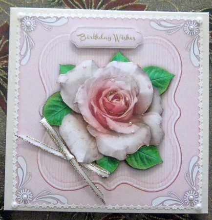 Lovely Pink Rose with White Corner   by Wendy De Winter