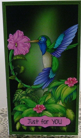 Jungle Series - Hummingbird Voucher/Money Wallet/Pocket Envelope  by Wendy De Winter