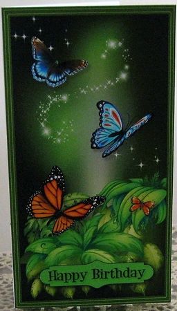 Jungle Series - Butterflies Voucher/Money Wallet/Pocket Envelope by Wendy De Winter