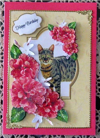 Purrfect pet 4 by Wendy De Winter