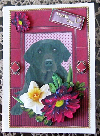 Chocolate Labrador by Wendy De Winter