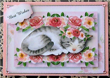 Pretty Sleeping Kitty A5 by Wendy De Winter