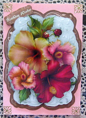 Beautiful Hibiscus Berries  by Wendy De Winter