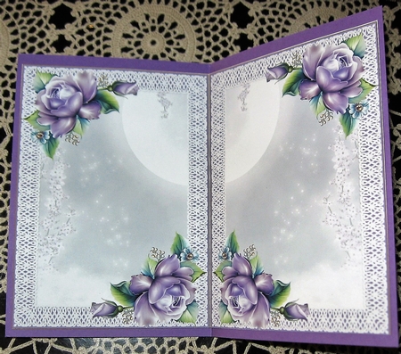 Angel and the Moonlight Shadow - blank inserts by Wendy De Winter