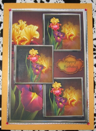 Welcome Spring Iris Three Square Quick Card by Wendy De Winter