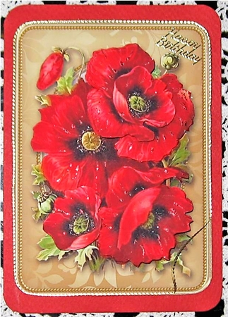 Lovely Red Poppies  by Wendy De Winter