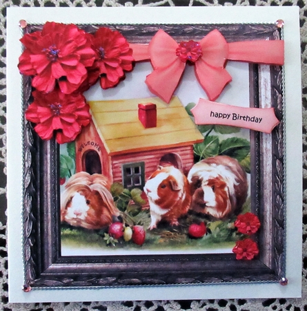 Birthday Girl Guinea pigs Cute Card by Wendy De Winter