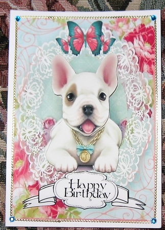 Lacy Frenchie by Wendy De Winter