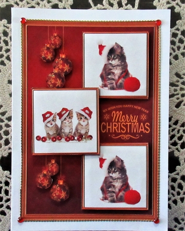 Christmas Animal 3 squared card front by Wendy De Winter