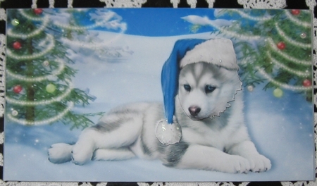 Christmas Husky Puppy in the Snow Money Wallet by Wendy De Winter