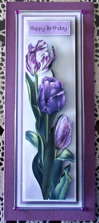 Gorgeous Purple Tulips Lge DL by Wendy De Winter