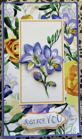 Floral Fever Gift/Voucher/Money Wallet/Pocket/Envelope Design 6 by Wendy De Winter