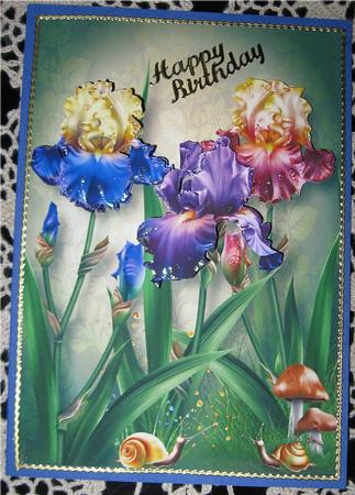 Iris Dreams Trio by Wendy De Winter