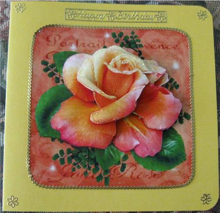 My Own Rose by Wendy De Winter