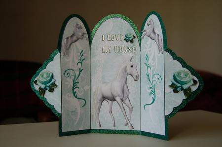 I Love My Horse, Trifold by Wendy Foden