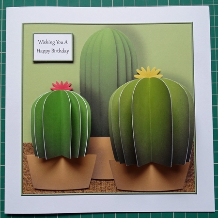 Cacti 3D Square Card Kit by Wendy Howroyd