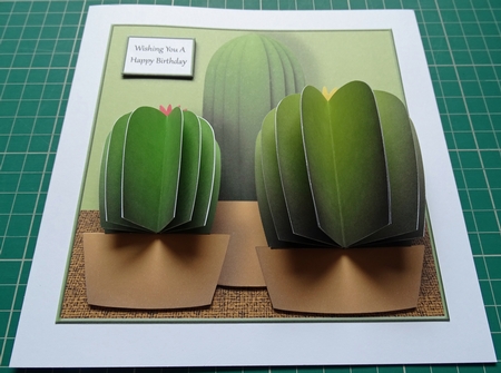Cacti 3D Square Card Kit by Wendy Howroyd