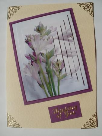Purple Flowers Pyramage by Wendy Smith