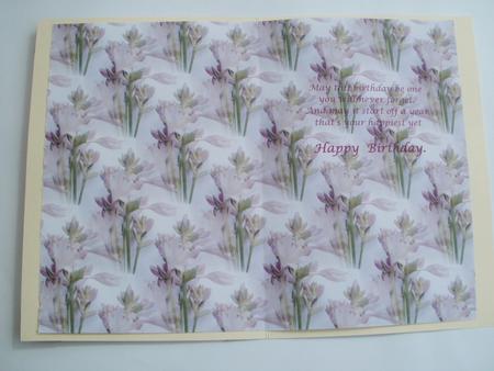 Purple Flowers Backing by Wendy Smith