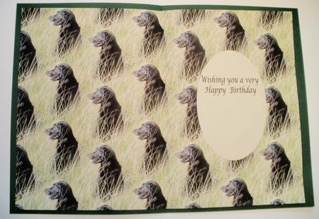 Black Labradore Insert by Wendy Smith