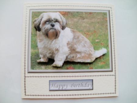 Shih Tzu Dog 3D Decoupage by Wendy Smith