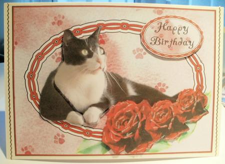 Black and White Cat with Red Roses Happy Birthday by Wendy Smith