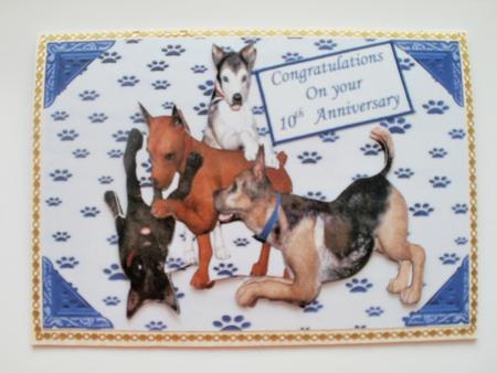 Playful Dogs, Cute Little Pooches by Wendy Smith
