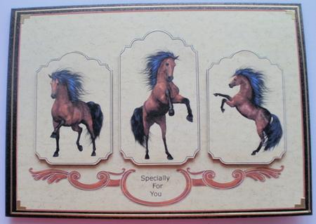 Wild Stallion Tryptic by Wendy Smith