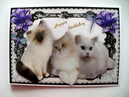 Persian White Kittens with Purple Flowers in Lace Frame by Wendy Smith