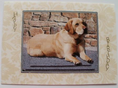Golden Labrador Scene Pyramid by Wendy Smith