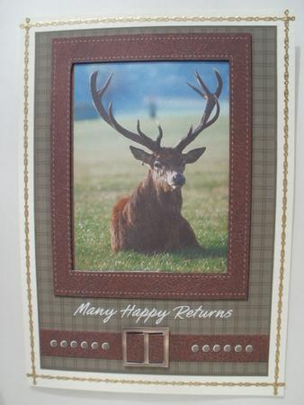 Stag with Leather by Wendy Smith