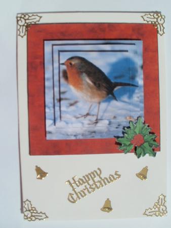 Robins and Holly by Wendy Smith