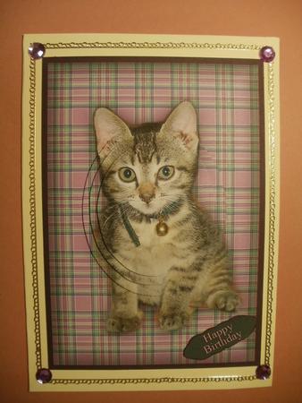 Cute Kitten by Wendy Smith