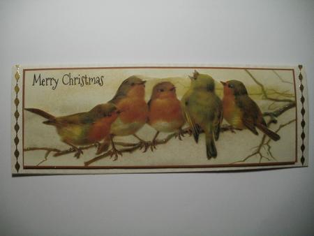 Simply Robins Card Front and Insert by Wendy Smith