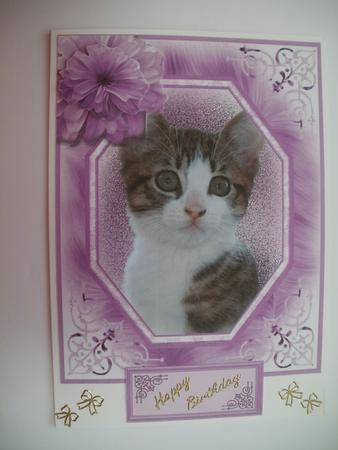 Mother's Day Kitten by Wendy Smith